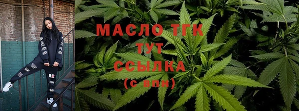 СК Надым
