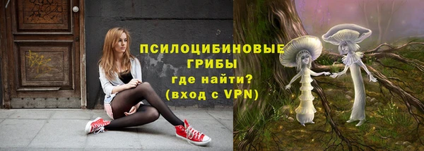 СК Надым